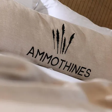 Ammothines فندق خْريسيا أموذيا