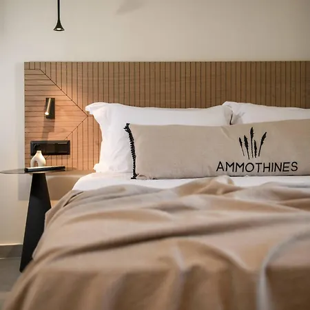 فندق Ammothines خْريسيا أموذيا