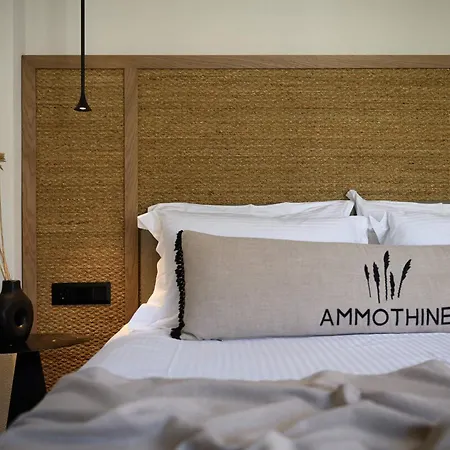 فندق Ammothines *