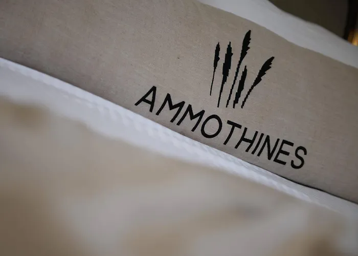 酒店 Ammothines