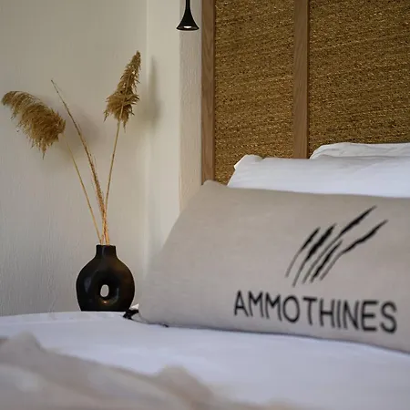 호텔 Ammothines *