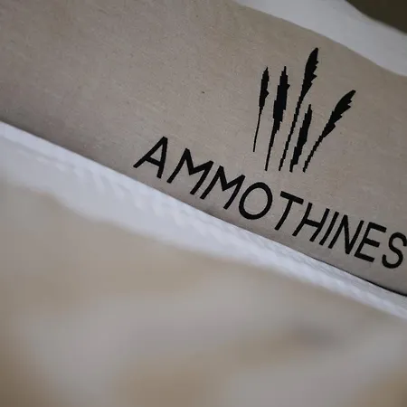 Хотел Ammothines