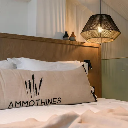 Hotel Ammothines