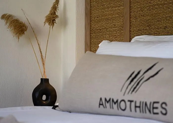 Hotel Ammothines *