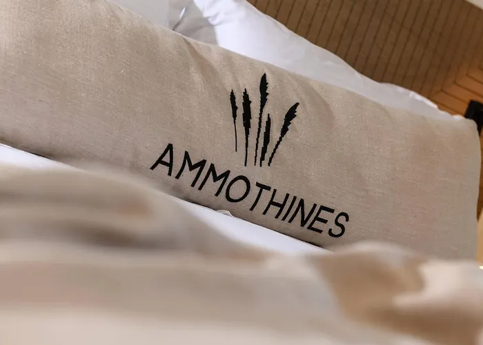 Ammothines Hotel Chrysi Ammoudia