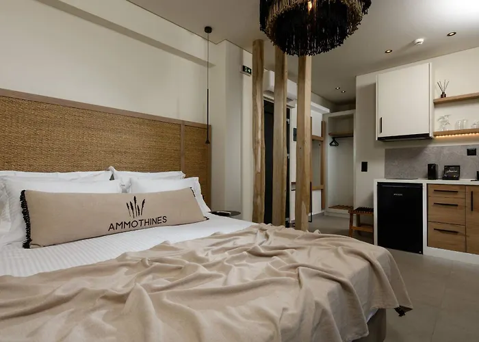 Ammothines Hotel Chrysi Ammoudia